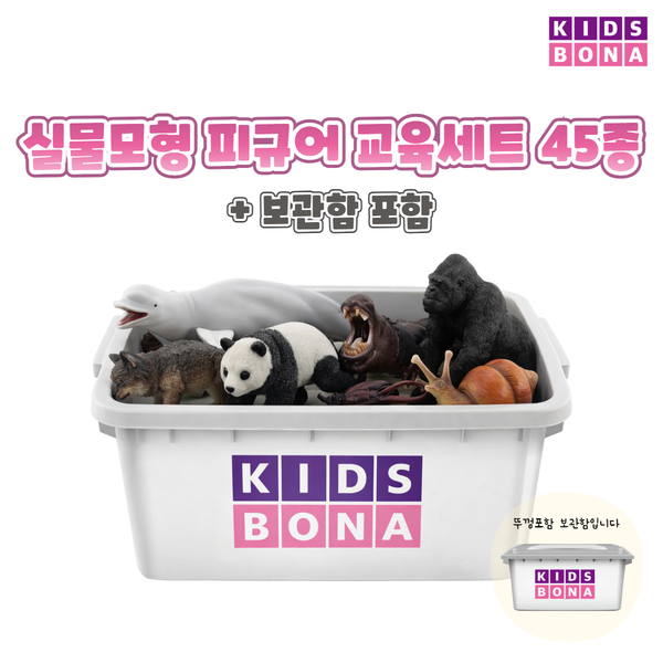 [본사] (사전주문) 키즈보나 실물모형 피규어 교육세트 45종 + 보관함 포함
