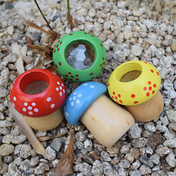 [자연관찰] 곤충의 눈