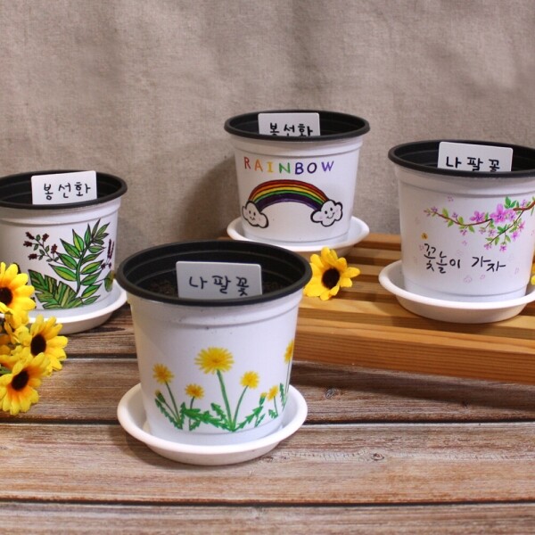 봄맞이 그리기 씨앗심기(4개세트)