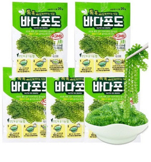 톡톡 바다포도 20g X 5개 총 100g