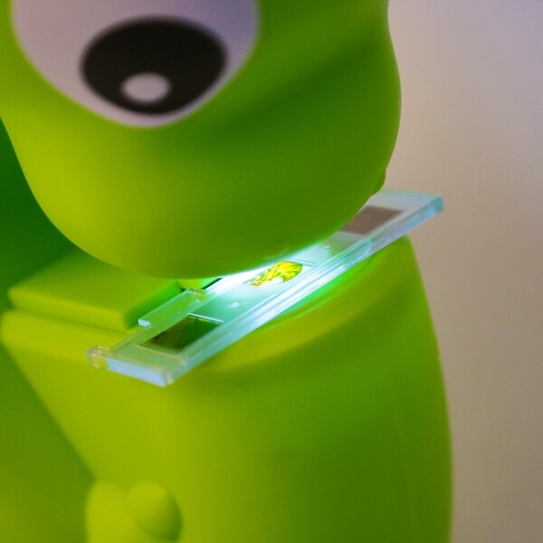 키즈보나,상품명