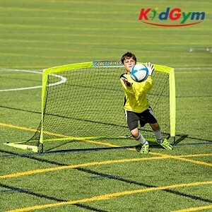 [본사] 와일드골대